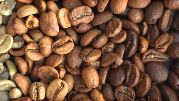 Coffee Roasting process and difference of Light, Medium, and Dark Roast